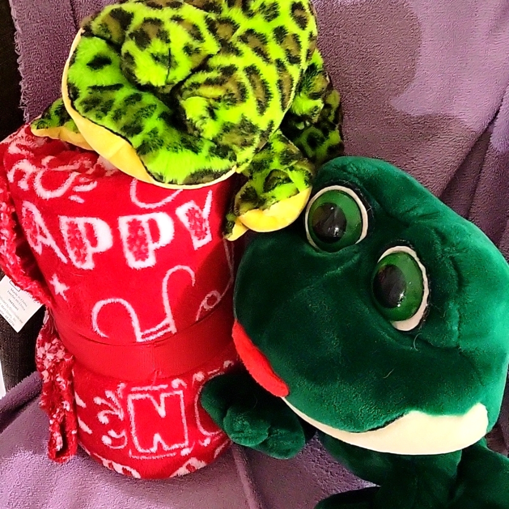 Two frogs 🐸 ♥️ and a blanket